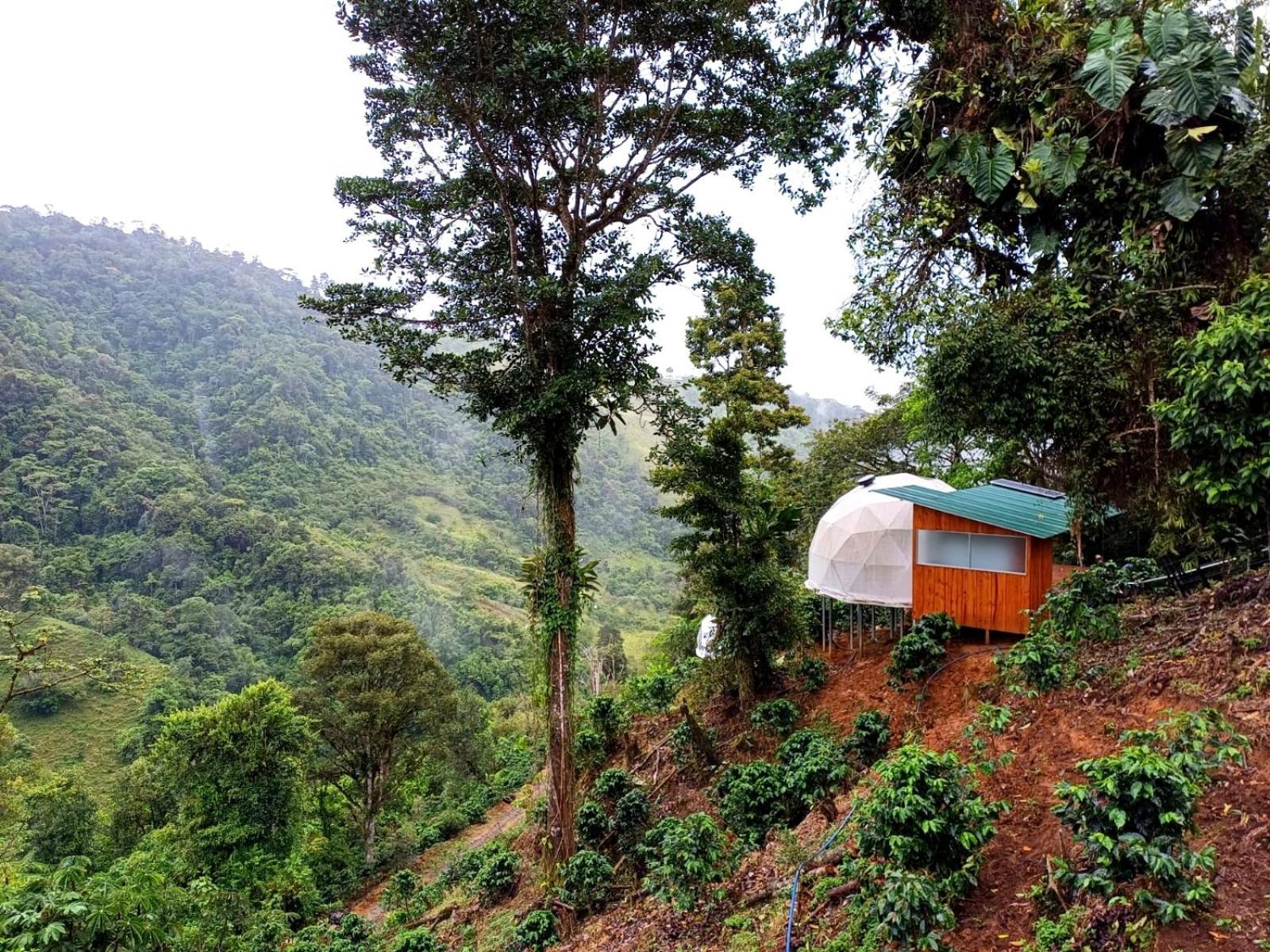 Hotel Rivel - Restaurant & Nature Retreat Turrialba Eksteriør billede