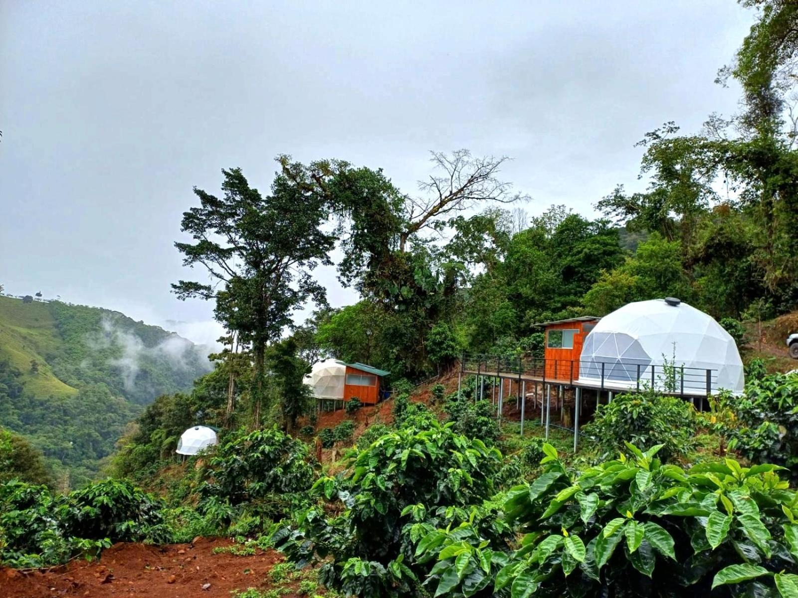 Hotel Rivel - Restaurant & Nature Retreat Turrialba Eksteriør billede