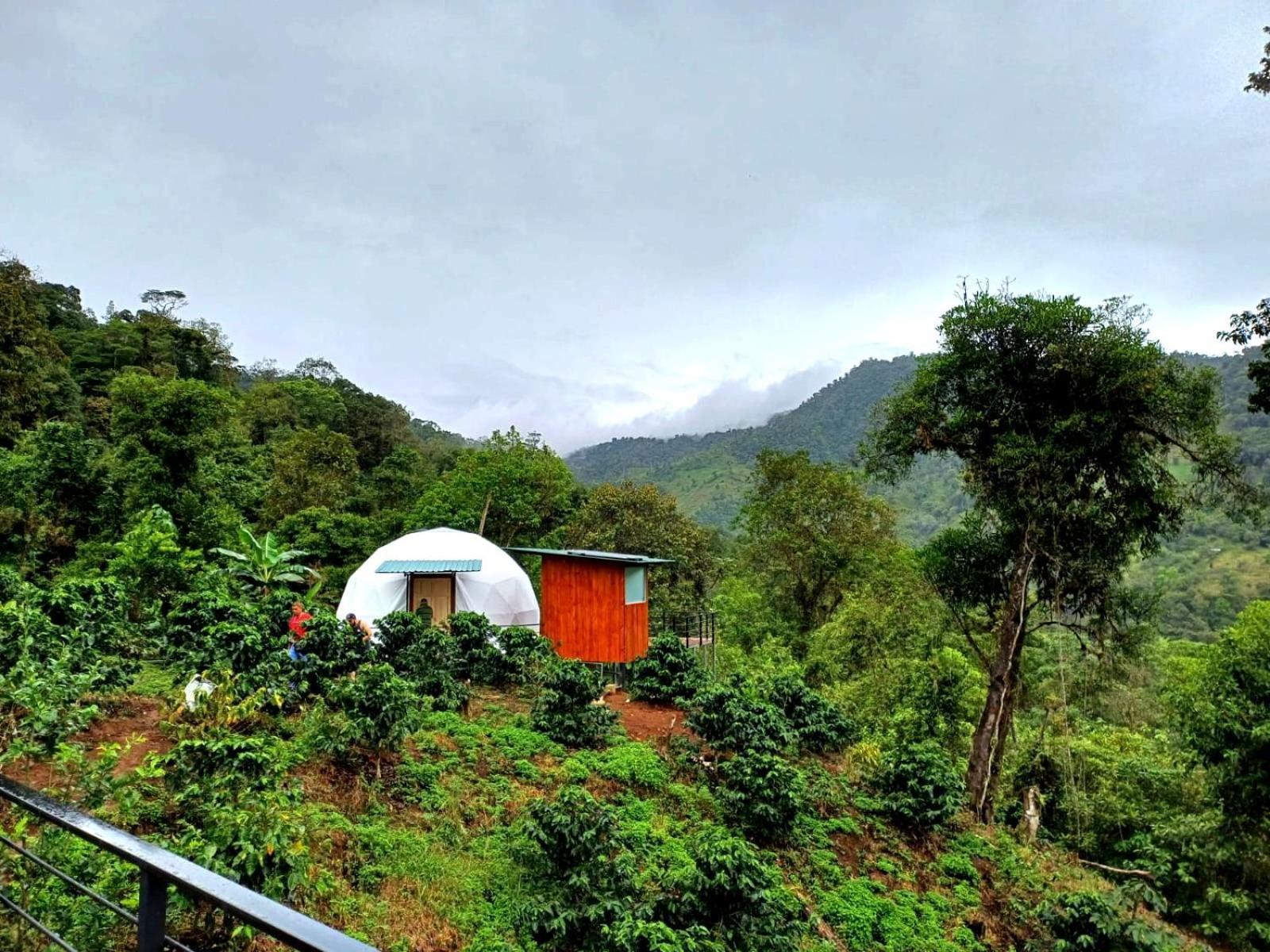 Hotel Rivel - Restaurant & Nature Retreat Turrialba Eksteriør billede