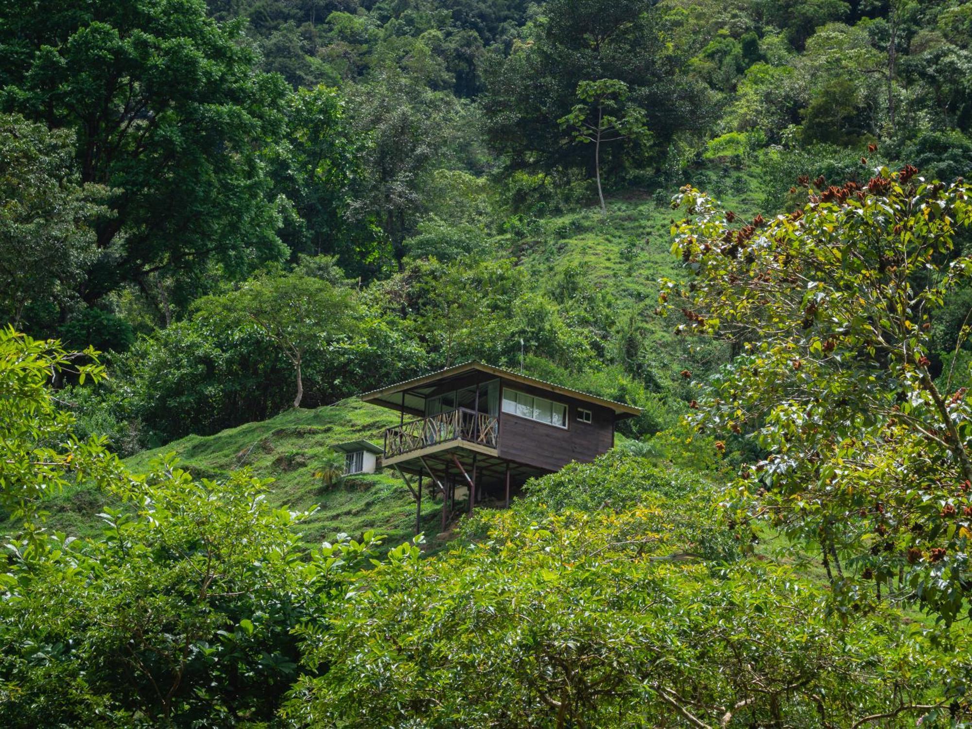 Hotel Rivel - Restaurant & Nature Retreat Turrialba Eksteriør billede