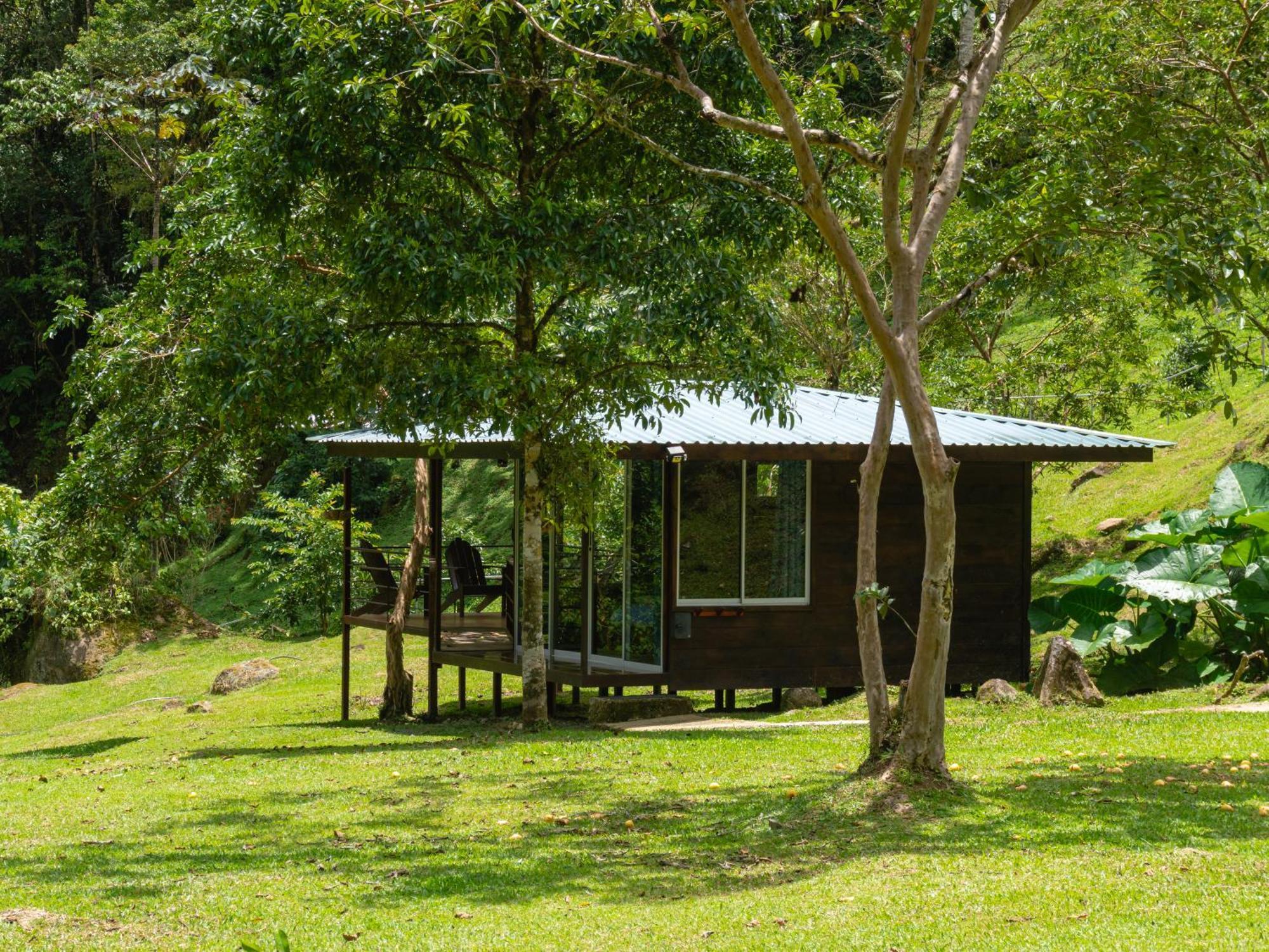 Hotel Rivel - Restaurant & Nature Retreat Turrialba Eksteriør billede