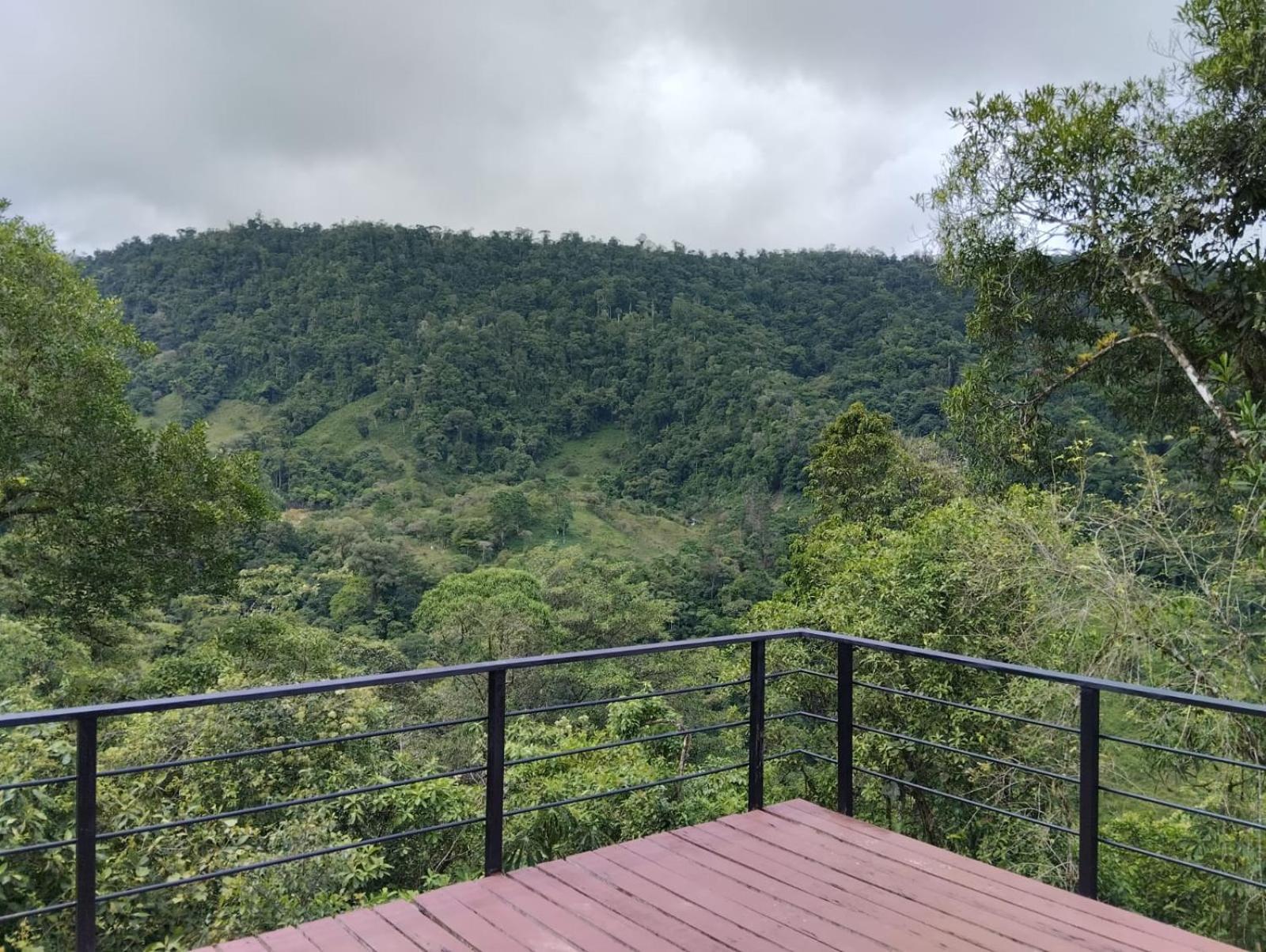 Hotel Rivel - Restaurant & Nature Retreat Turrialba Eksteriør billede